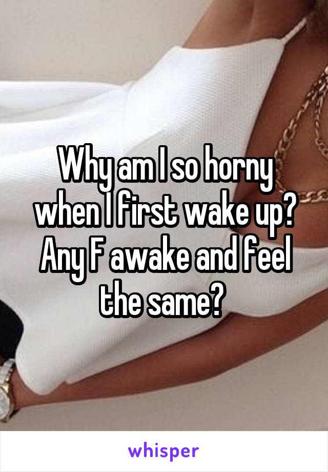 Why am I so horny when I first wake up? Any F awake and feel the same? 