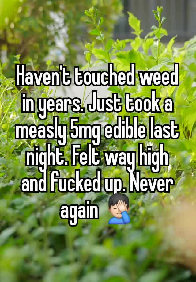 Haven't touched weed in years. Just took a measly 5mg edible last night. Felt way high and fucked up. Never again 🤦🏻‍♂️