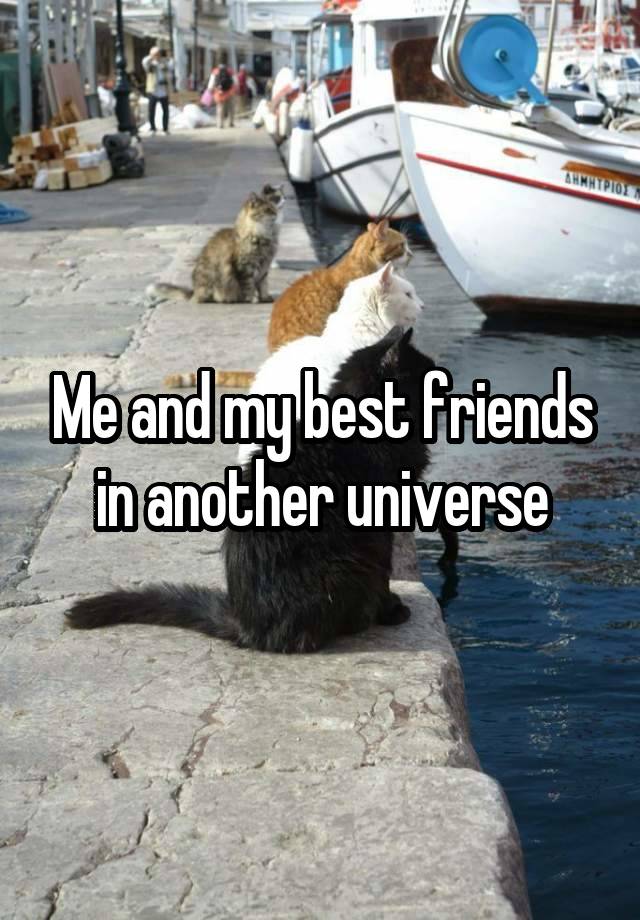 Me and my best friends in another universe