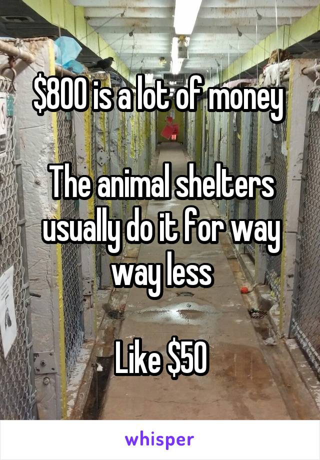 $800 is a lot of money 

The animal shelters usually do it for way way less

Like $50