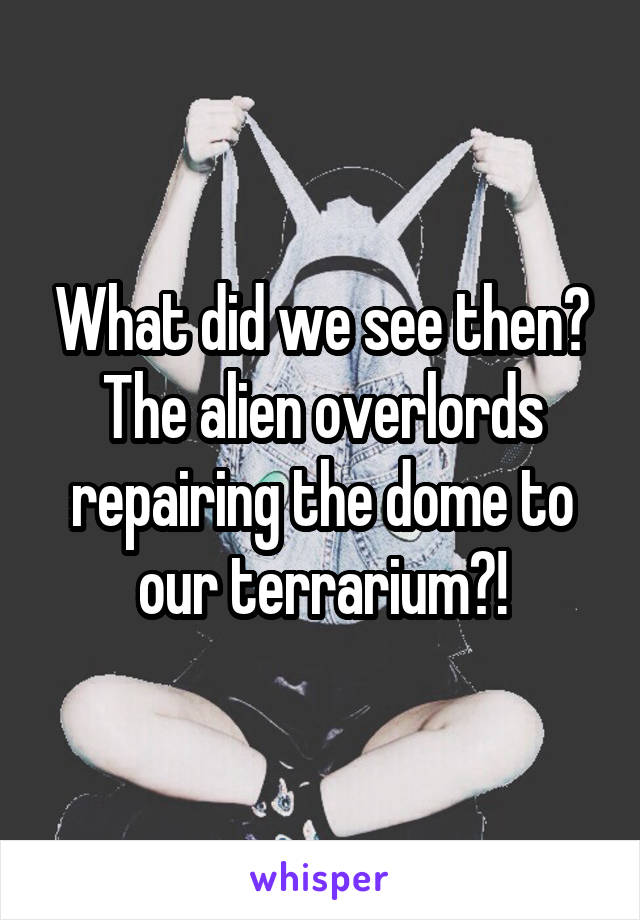 What did we see then? The alien overlords repairing the dome to our terrarium?!