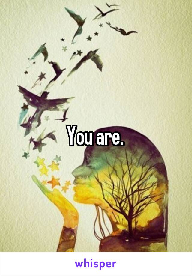 You are. 