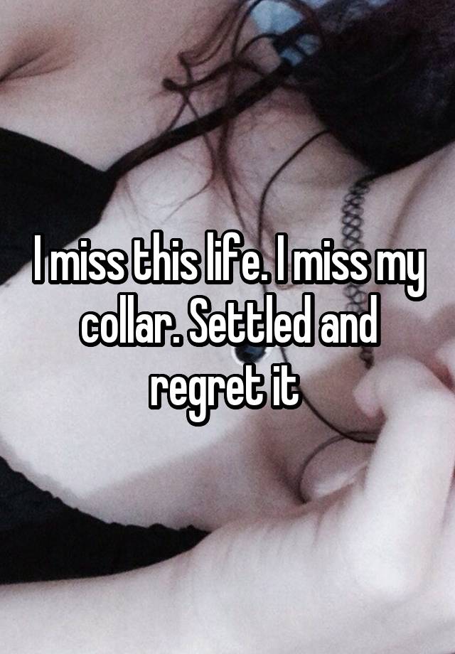 I miss this life. I miss my collar. Settled and regret it 