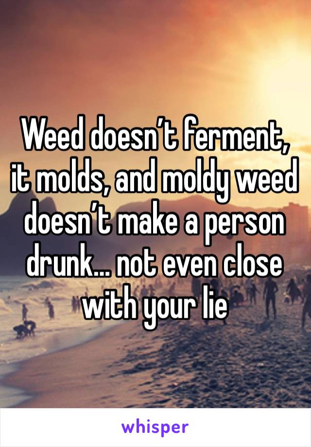 Weed doesn’t ferment, it molds, and moldy weed doesn’t make a person drunk… not even close with your lie