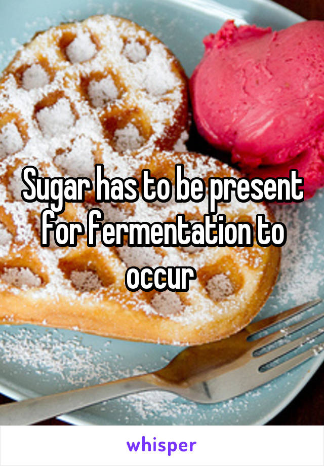 Sugar has to be present for fermentation to occur 