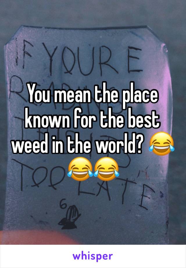 You mean the place known for the best weed in the world? 😂😂😂