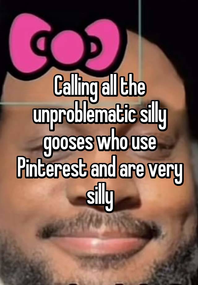 Calling all the unproblematic silly gooses who use Pinterest and are very silly