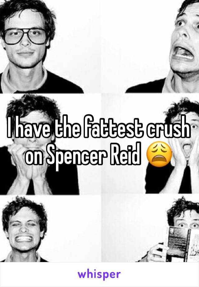 I have the fattest crush on Spencer Reid 😩