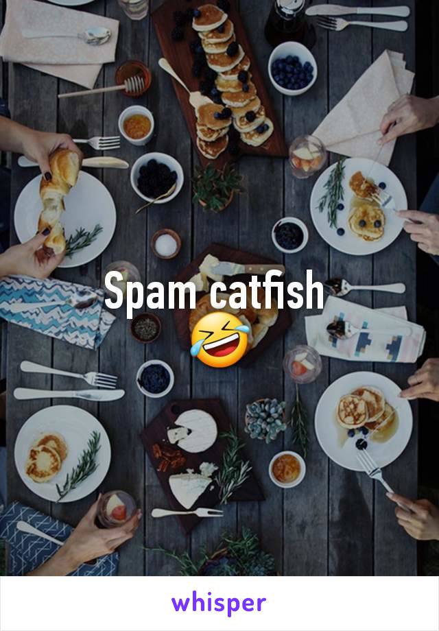 Spam catfish 
🤣