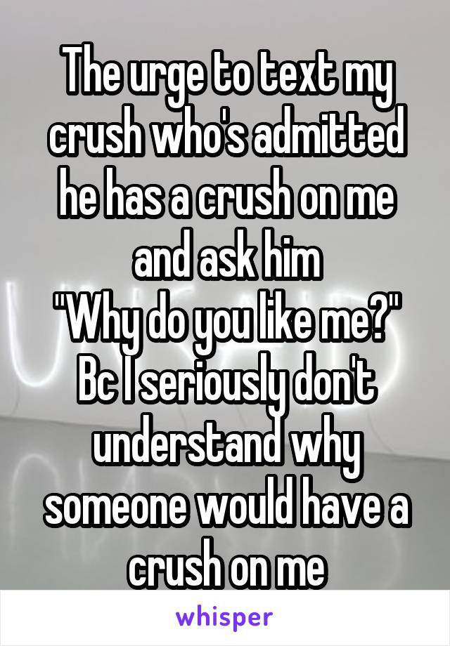 The urge to text my crush who's admitted he has a crush on me and ask him
"Why do you like me?" Bc I seriously don't understand why someone would have a crush on me