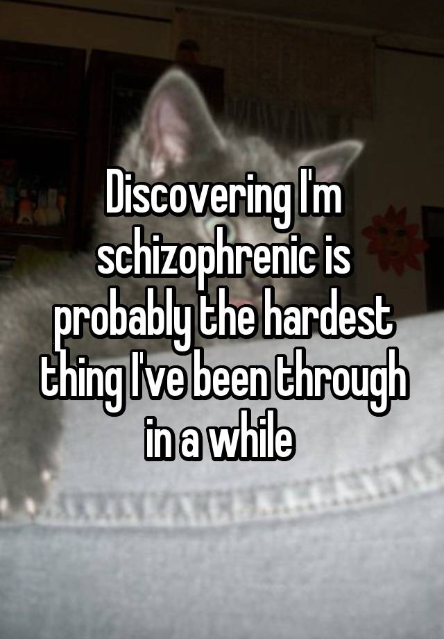 Discovering I'm schizophrenic is probably the hardest thing I've been through in a while 