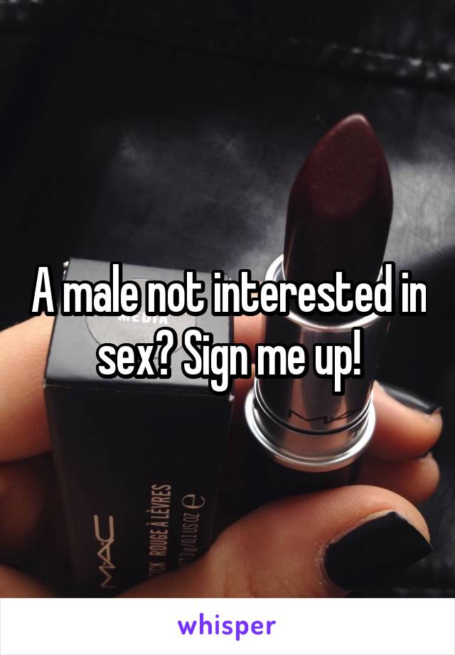 A male not interested in sex? Sign me up!