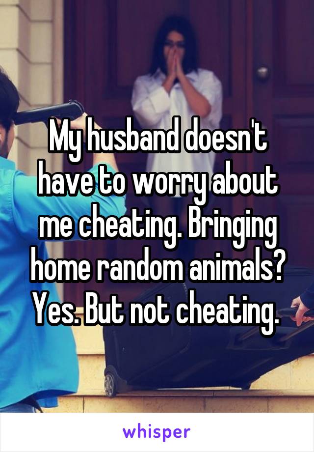 My husband doesn't have to worry about me cheating. Bringing home random animals? Yes. But not cheating. 