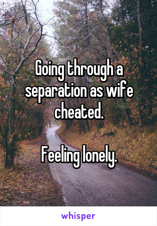 Going through a separation as wife cheated.

Feeling lonely.