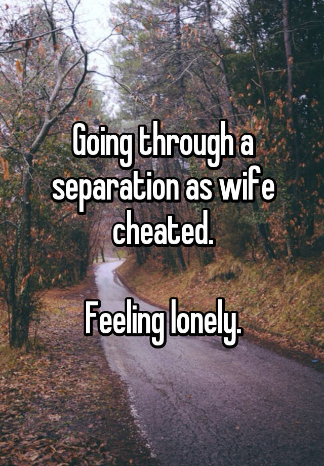 Going through a separation as wife cheated.

Feeling lonely.