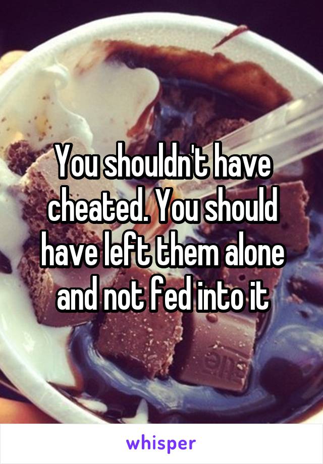 You shouldn't have cheated. You should have left them alone and not fed into it