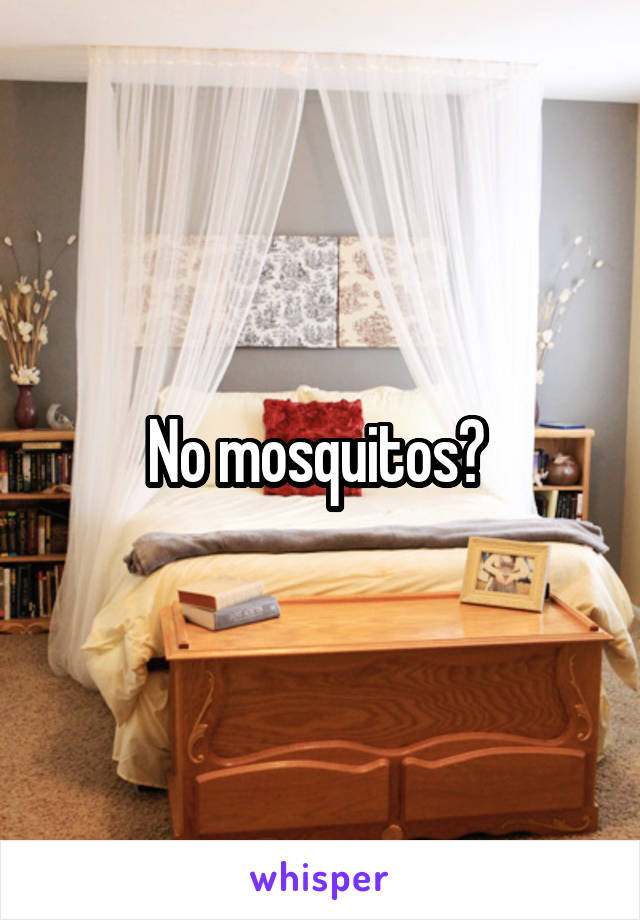 No mosquitos? 