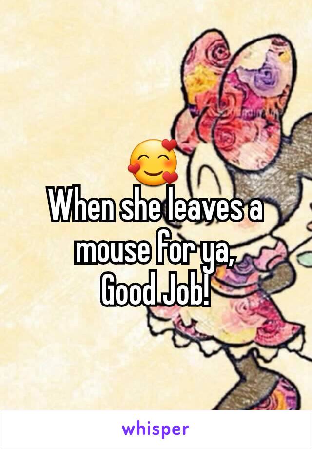 🥰 
When she leaves a mouse for ya,
Good Job!