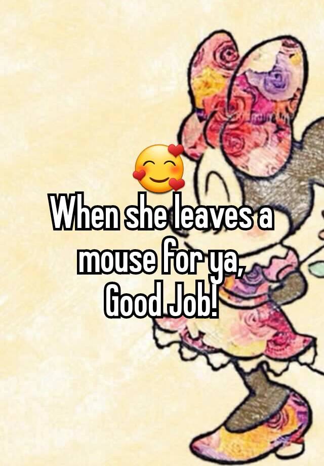 🥰 
When she leaves a mouse for ya,
Good Job!