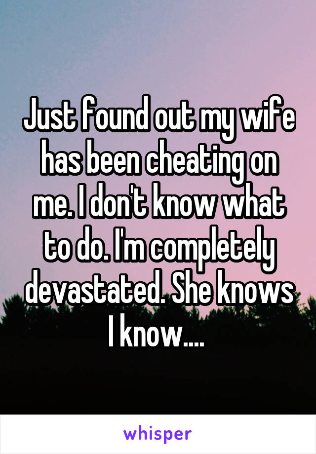 Just found out my wife has been cheating on me. I don't know what to do. I'm completely devastated. She knows I know.... 