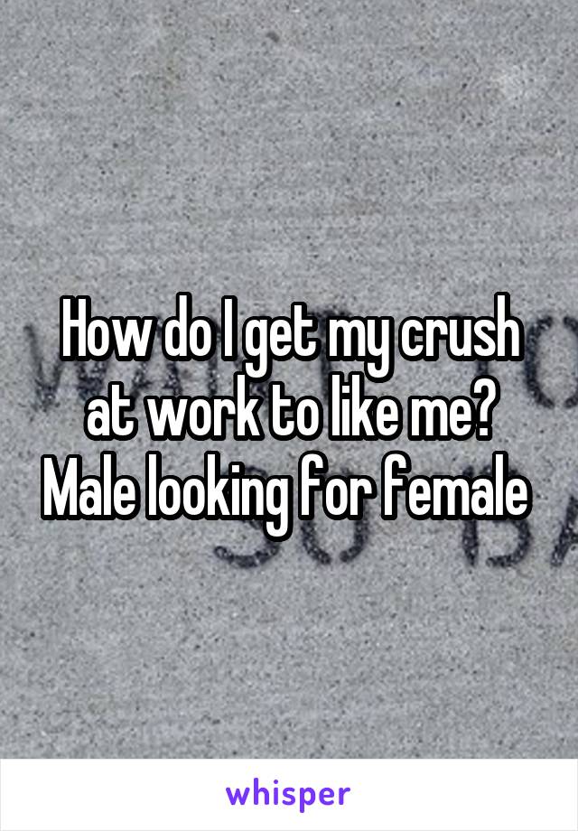 How do I get my crush at work to like me? Male looking for female 