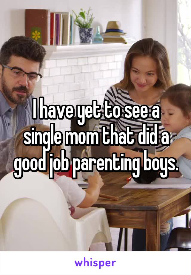 I have yet to see a single mom that did a good job parenting boys.