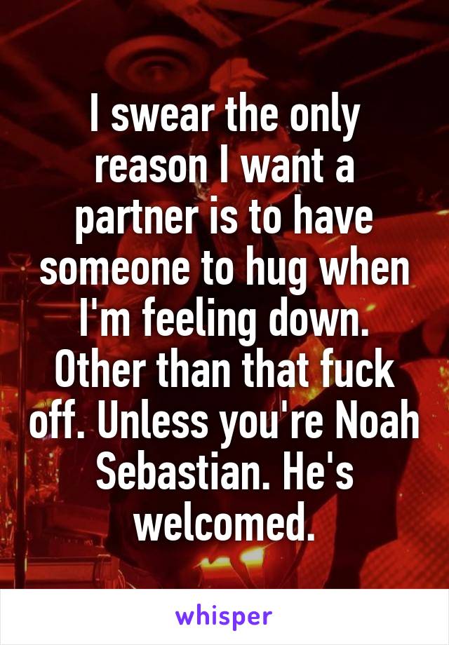 I swear the only reason I want a partner is to have someone to hug when I'm feeling down. Other than that fuck off. Unless you're Noah Sebastian. He's welcomed.