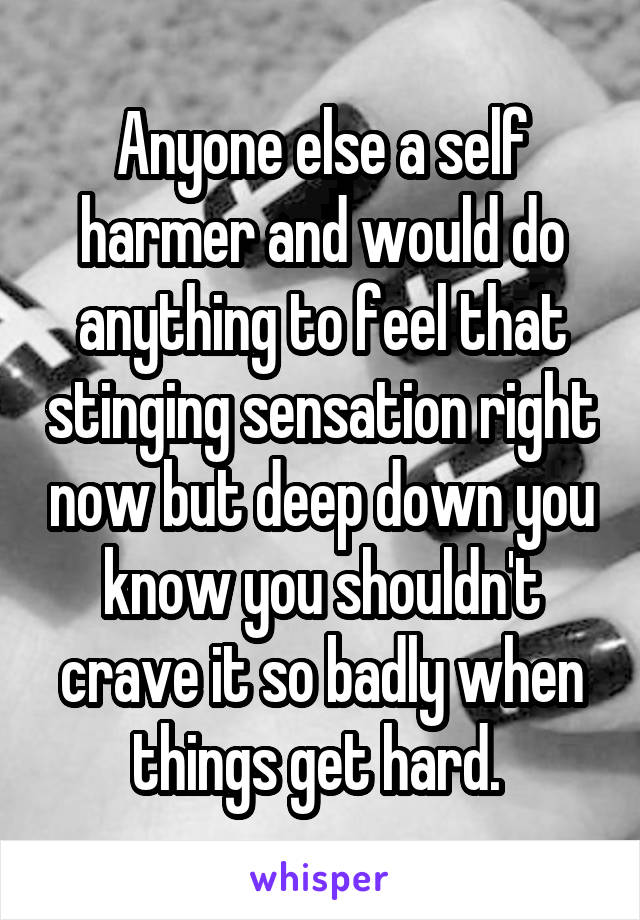 Anyone else a self harmer and would do anything to feel that stinging sensation right now but deep down you know you shouldn't crave it so badly when things get hard. 