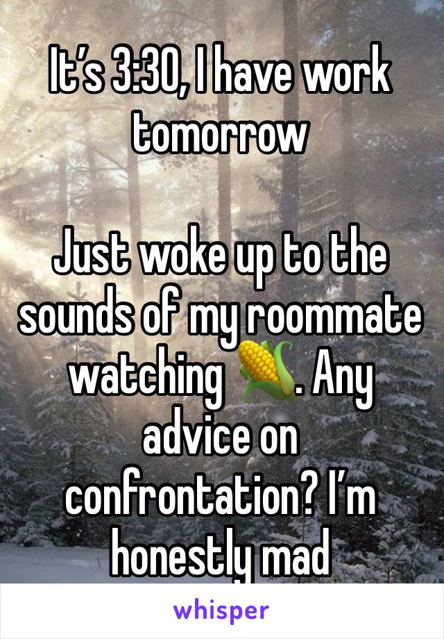 It’s 3:30, I have work tomorrow 

Just woke up to the sounds of my roommate watching 🌽. Any advice on confrontation? I’m honestly mad 