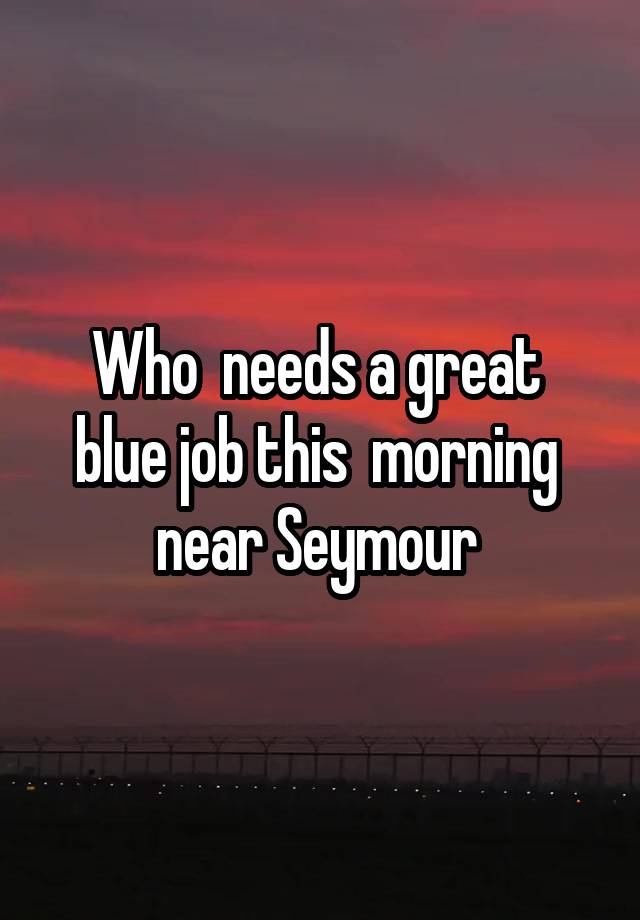 Who  needs a great  blue job this  morning  near Seymour 