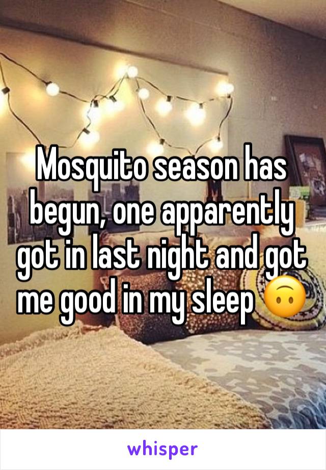 Mosquito season has begun, one apparently got in last night and got me good in my sleep 🙃