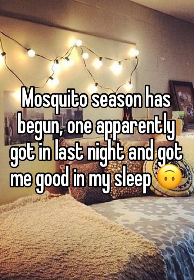 Mosquito season has begun, one apparently got in last night and got me good in my sleep 🙃