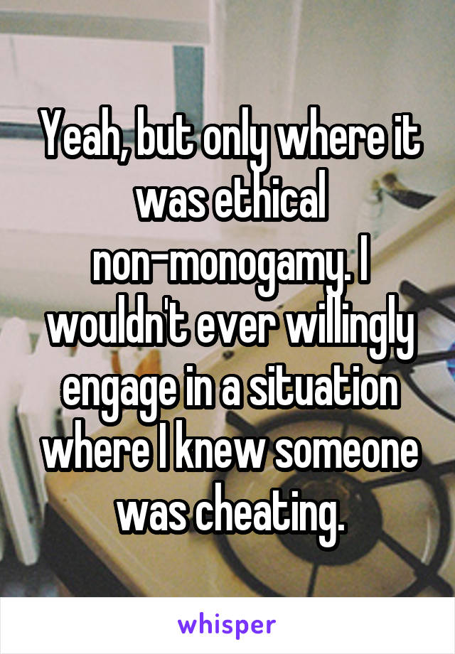 Yeah, but only where it was ethical non-monogamy. I wouldn't ever willingly engage in a situation where I knew someone was cheating.