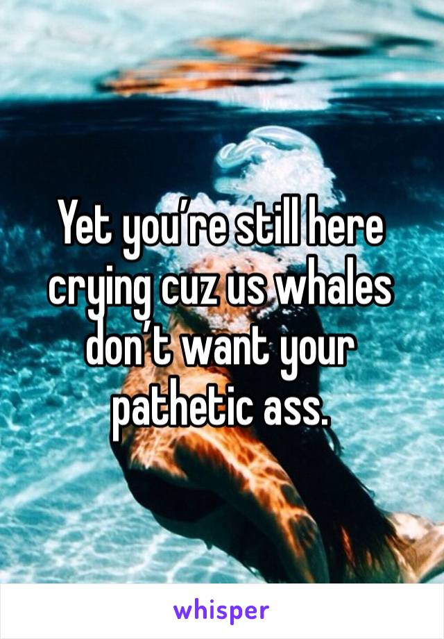 Yet you’re still here crying cuz us whales don’t want your pathetic ass. 