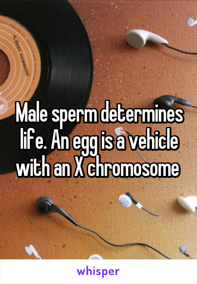 Male sperm determines life. An egg is a vehicle with an X chromosome 