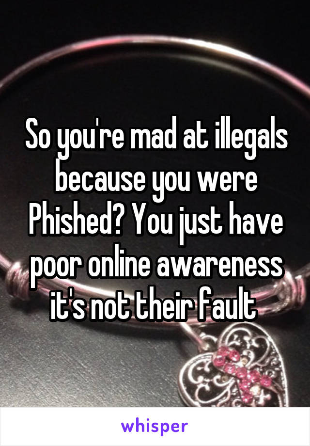 So you're mad at illegals because you were Phished? You just have poor online awareness it's not their fault 