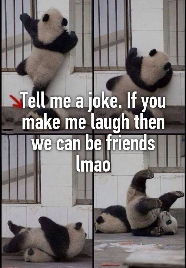 Tell me a joke. If you make me laugh then we can be friends lmao