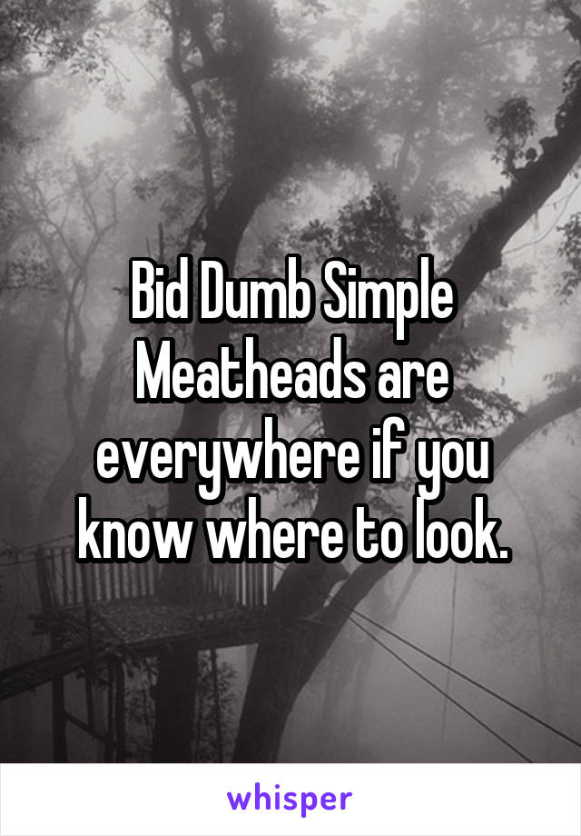 Bid Dumb Simple Meatheads are everywhere if you know where to look.