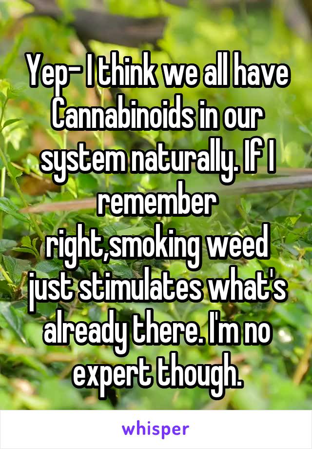 Yep- I think we all have Cannabinoids in our system naturally. If I remember right,smoking weed just stimulates what's already there. I'm no expert though.