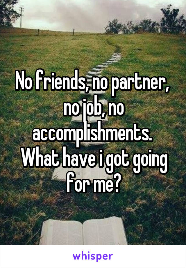 No friends, no partner,  no job, no accomplishments.  What have i got going for me?