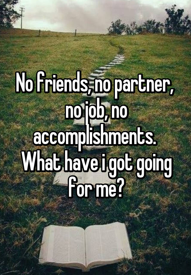 No friends, no partner,  no job, no accomplishments.  What have i got going for me?