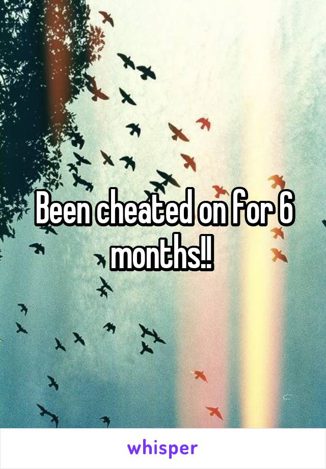 Been cheated on for 6 months!! 