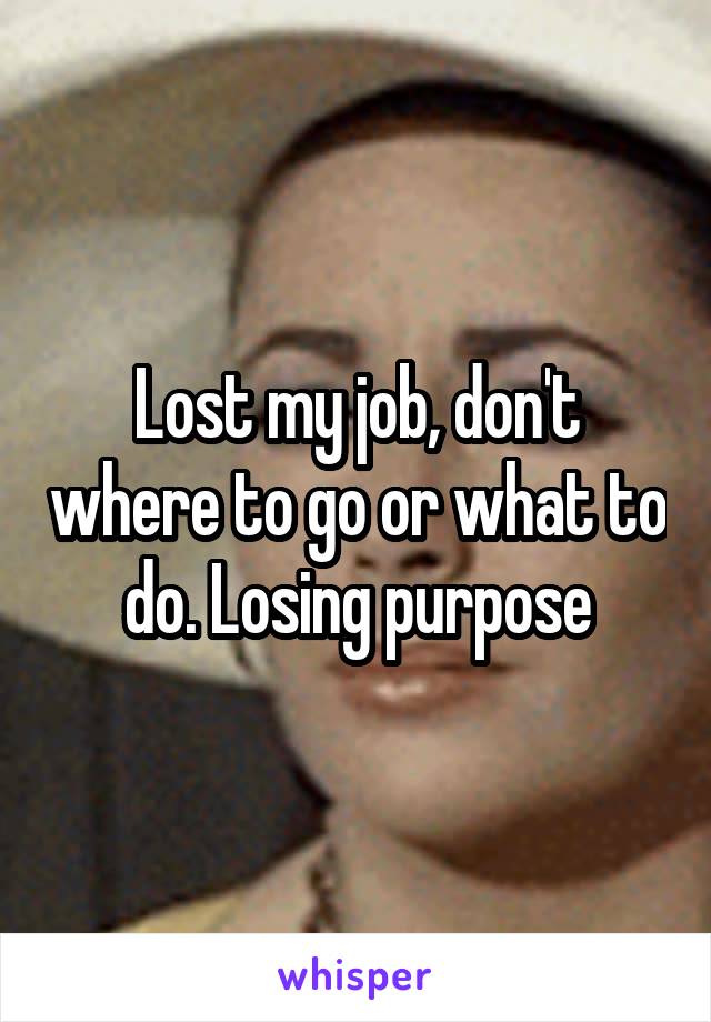 Lost my job, don't where to go or what to do. Losing purpose