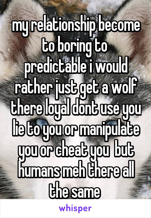 my relationship become to boring to  predictable i would rather just get a wolf there loyal dont use you lie to you or manipulate you or cheat you  but humans meh there all the same 