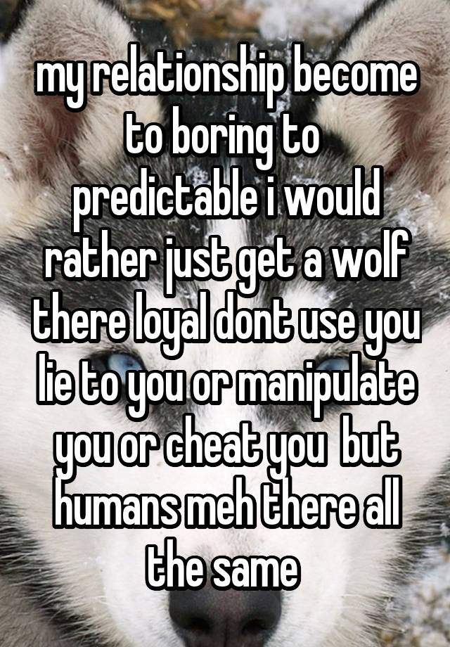 my relationship become to boring to  predictable i would rather just get a wolf there loyal dont use you lie to you or manipulate you or cheat you  but humans meh there all the same 