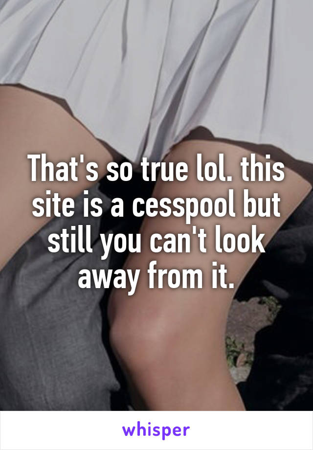 That's so true lol. this site is a cesspool but still you can't look away from it.