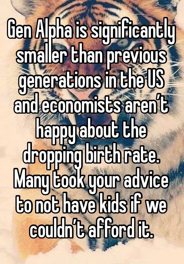 Gen Alpha is significantly smaller than previous generations in the US and economists aren’t happy about the dropping birth rate.
Many took your advice to not have kids if we couldn’t afford it.