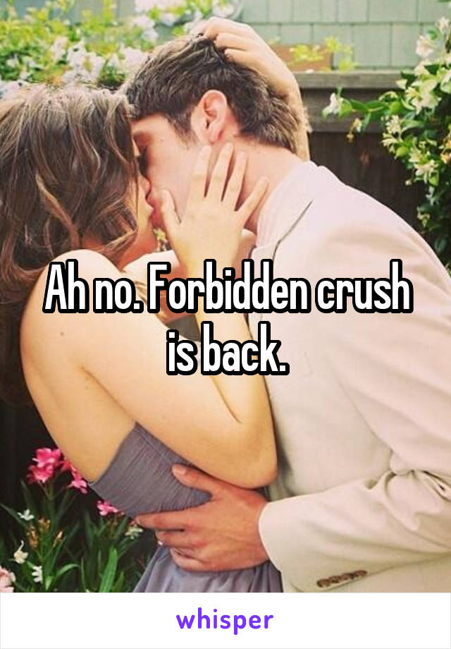 Ah no. Forbidden crush is back.