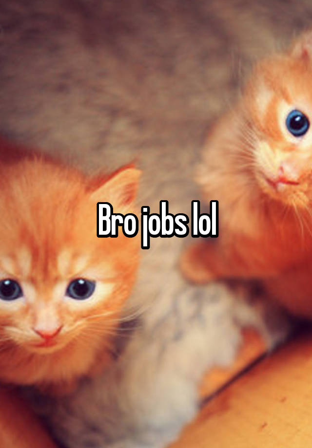 Bro jobs lol