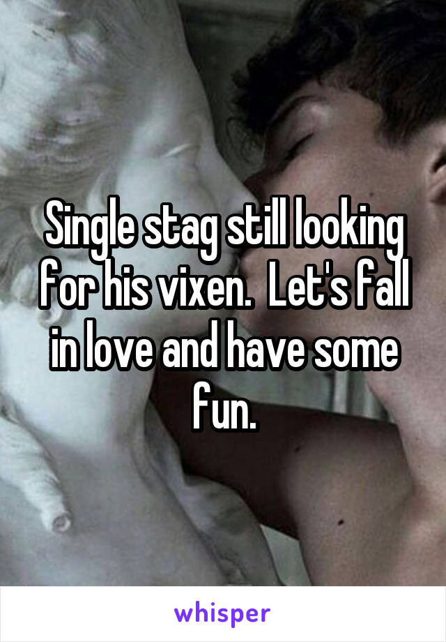 Single stag still looking for his vixen.  Let's fall in love and have some fun.